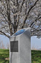 Monument in front of a cherry blossom tree