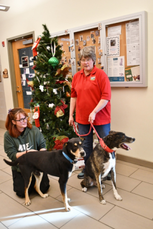 Adoptable pets with the Pet Angel Tree