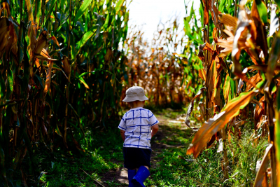 Meuschke Farms