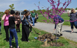2019 Arbor Day Tree