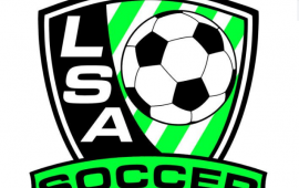 LSA Logo