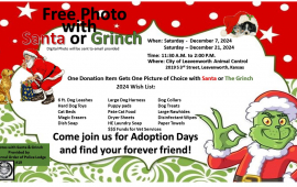 Flyer reads text below with images of Santa and the Grinch in red and green