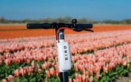 Bird scooter