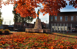 Photo of a fall tree near City Hall with the text Happy Thanksgiving and City logo
