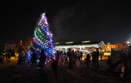lit evergreen tree at night with purple, white, blue and green lights and people standing around it in the dark