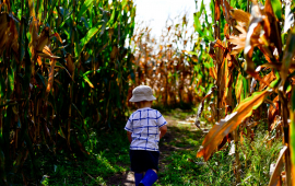 Meuschke Farms