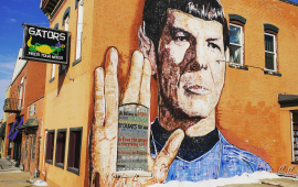 Space the Final Frontier Mural
