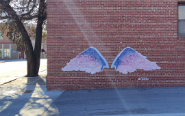 wings