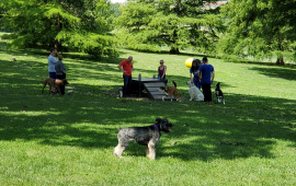 VA Dog Park