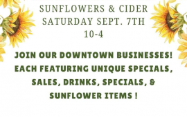 Sunflower & Cider Day