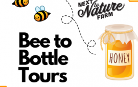 Bee to Bottle Tours