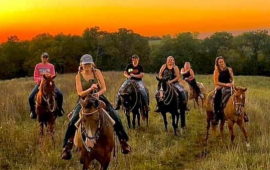 Watkins "C" Ranch Summer Camp