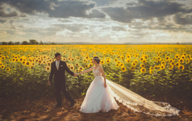 Wedding by a field of sunflowers