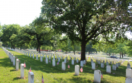 Fort Lvn Natl Cemetery