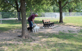 Waggin Tails Dog Park 