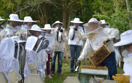 Hillside Honey Apiary