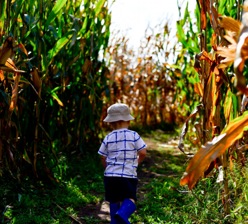 Meuschke Farms