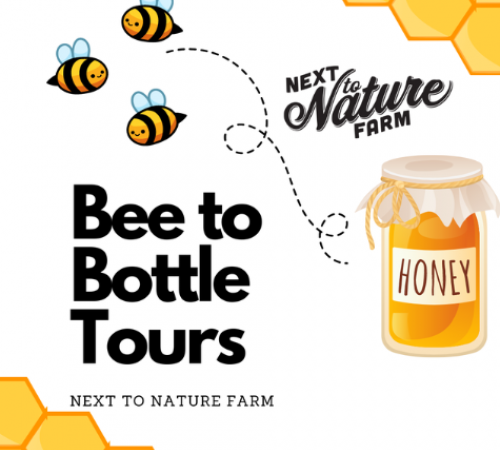 Bee-to-Bottle Tours