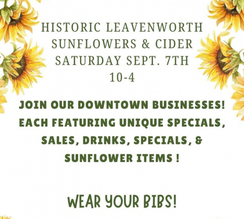 Sunflower & Cider Day