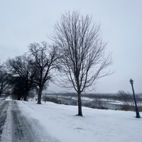 snowy road in winter
