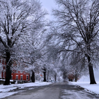 Snow on North Esplanade 