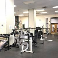 Weight Room with Equipment like Free Weights, Benches, and Incline Bench
