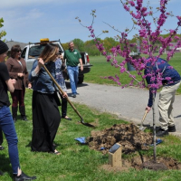 2019 Arbor Day Tree