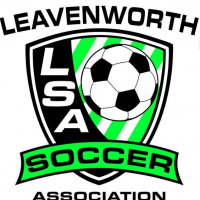 LSA Logo