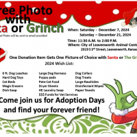 Flyer reads text below with images of Santa and the Grinch in red and green