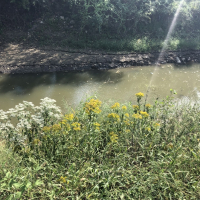 The City's Stormwater Management Plan addresses ways to reduce and improve stormwater