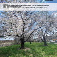 image of page 1 of newsletter