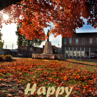 photo of fall leaves at City Hall below the State of Liberty Replica