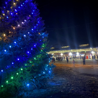 In November 2022, Mayor Camalla Leonhard and First-Grader Jonathan Harmon  officially lit the tree at Haymarket Square.