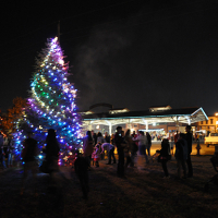 lit evergreen tree at night with purple, white, blue and green lights and people standing around it in the dark