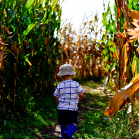 Meuschke Farms