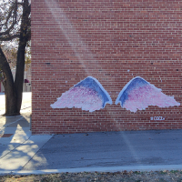 wings
