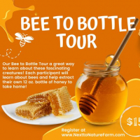 honey jars