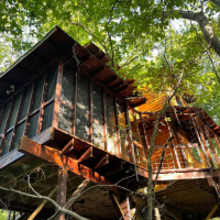 Hidden Valley Wilderness Treehouse