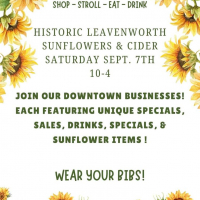 Sunflower & Cider Day