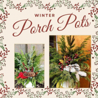 Winter Porch Pots Workshop