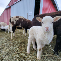 Agri-Tourism 