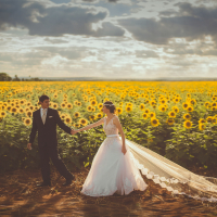Wedding by a field of sunflowers