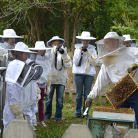 Hillside Honey Apiary