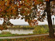 North Esplanade Park fall