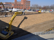 Building a biological retaining wall