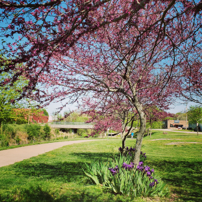 Three Mile Creek Walking Trail