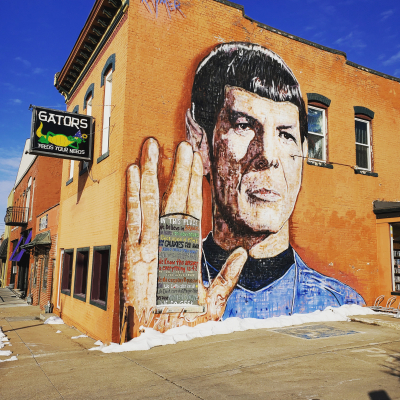 Space the Final Frontier Mural