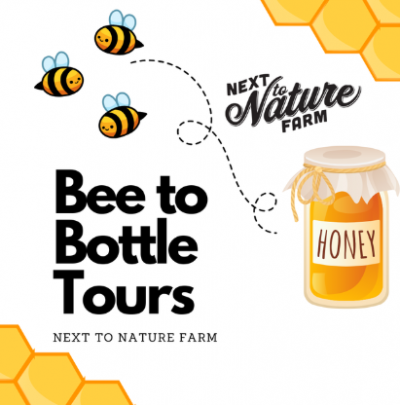 Bee to Bottle Tours