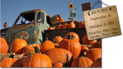 Kerby Farm Pumpkin Patch