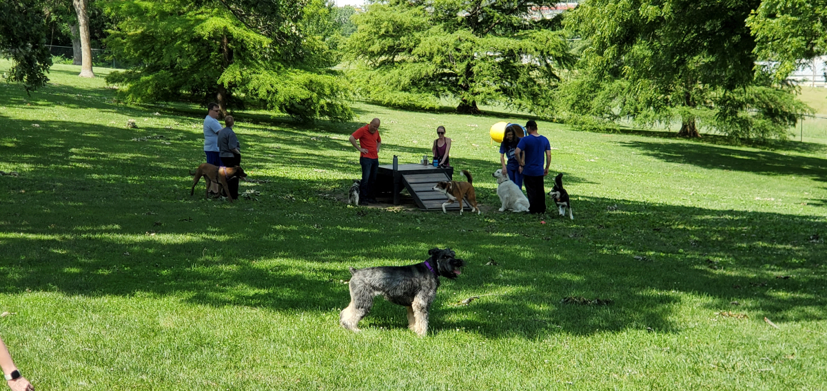 VA Dog Park